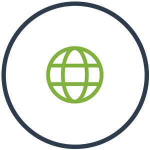 globe icon