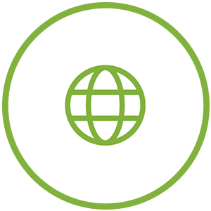 globe icon